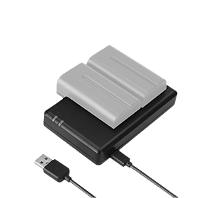 HL DC01 Dual Slot Charger