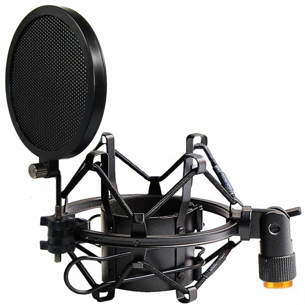 Pop Filter and Shock Mount
