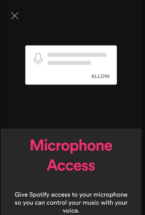 microphone access