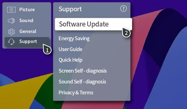 choose the software update option