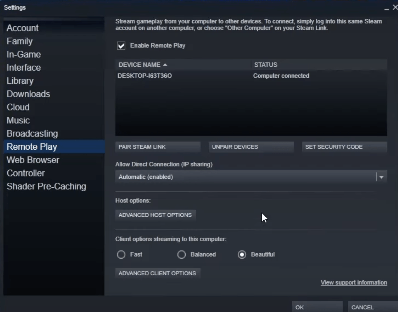 8 Fixes to Steam Remote Play No Sound - Hollyland