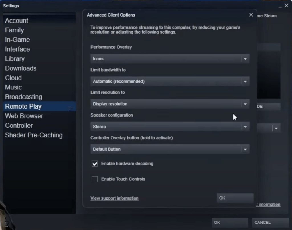 Steam Remote Play