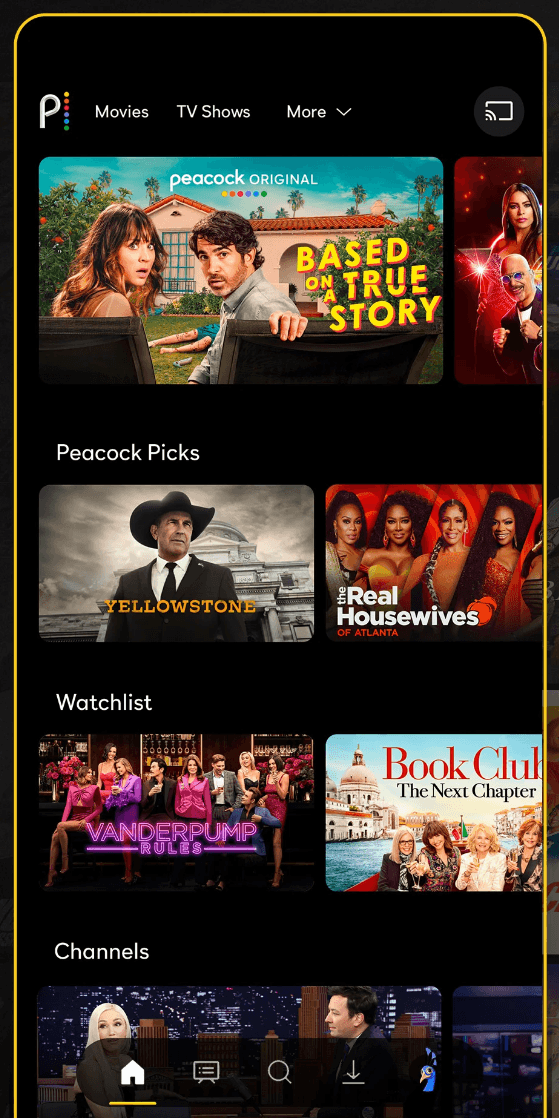 Why Is Peacock Narrating My Show? A Guide to Audio Settings - Hollyland