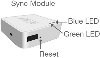 ✓ What They Don't Tell You - Blink Sync Module 2 Local Storage