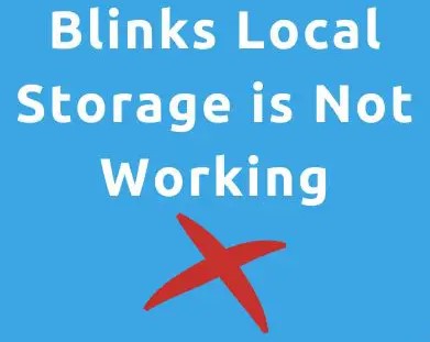 ✓ What They Don't Tell You - Blink Sync Module 2 Local Storage - How Does  It Work - No Subscription 