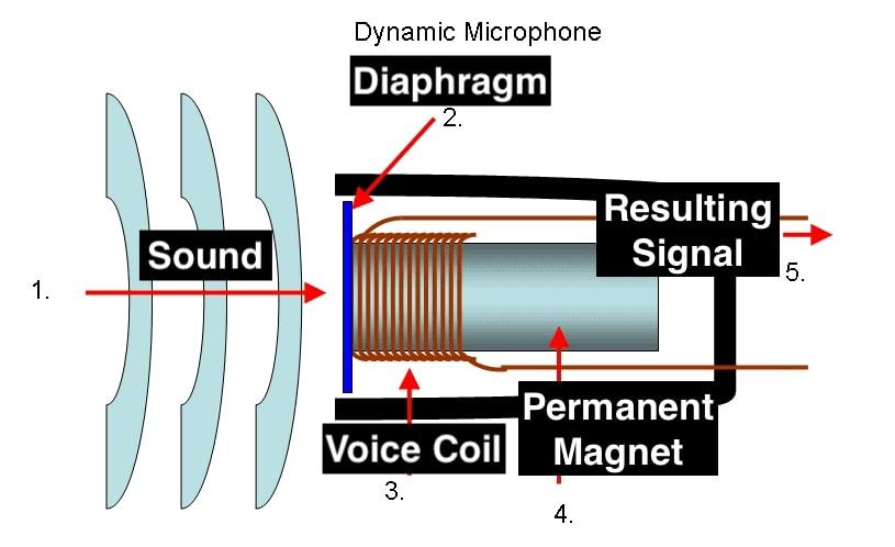 dynamic microphones mechanism