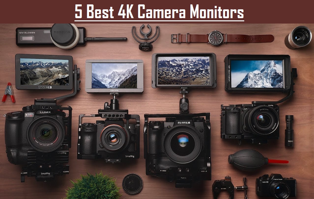 13 Best External Camera Screen in 2024 (Updated)