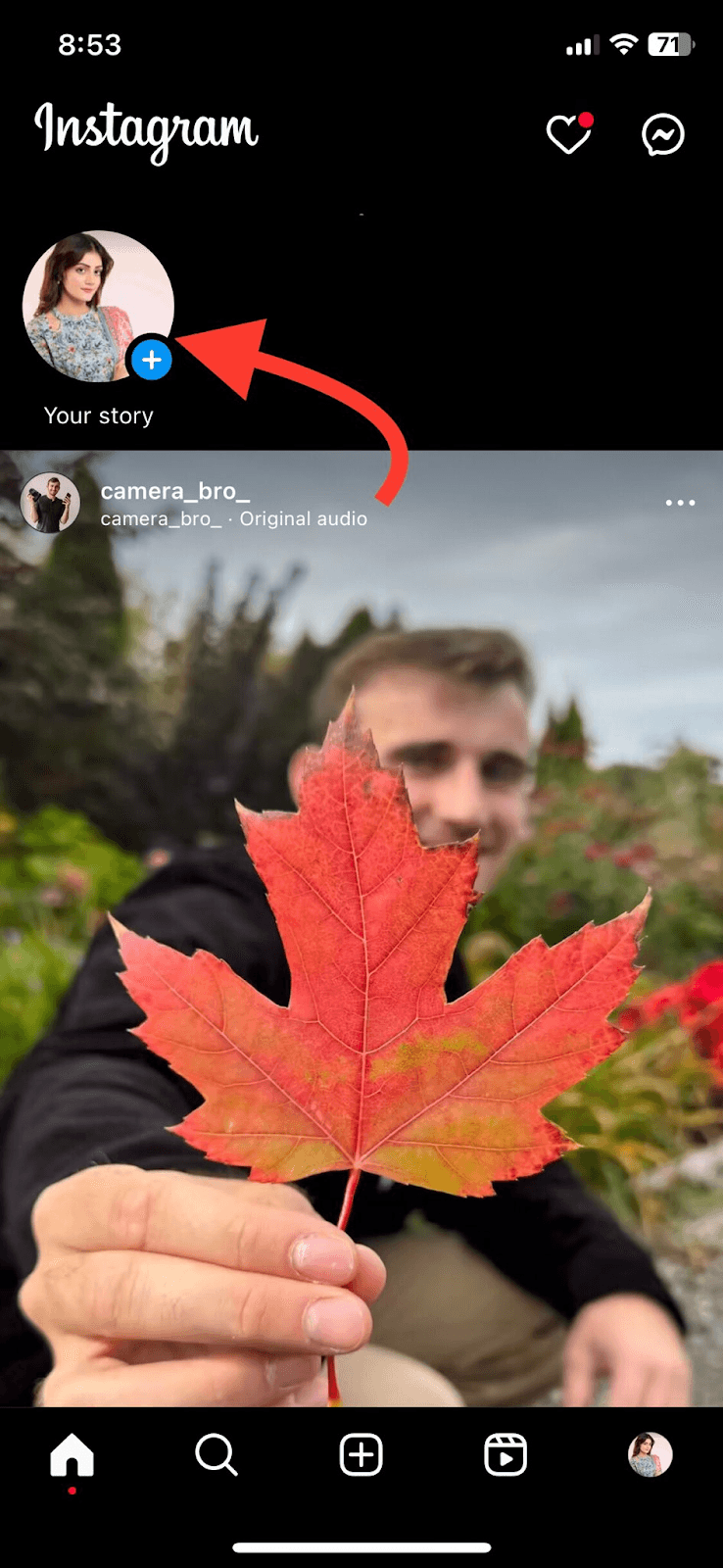 Can People See You Viewing Their Instagram? Hollyland