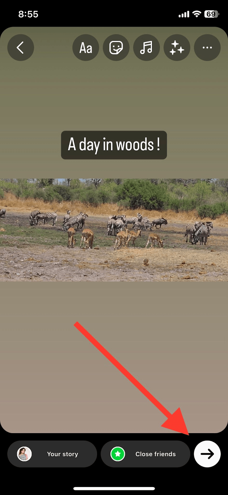 Can People See You Viewing Their Instagram? Hollyland