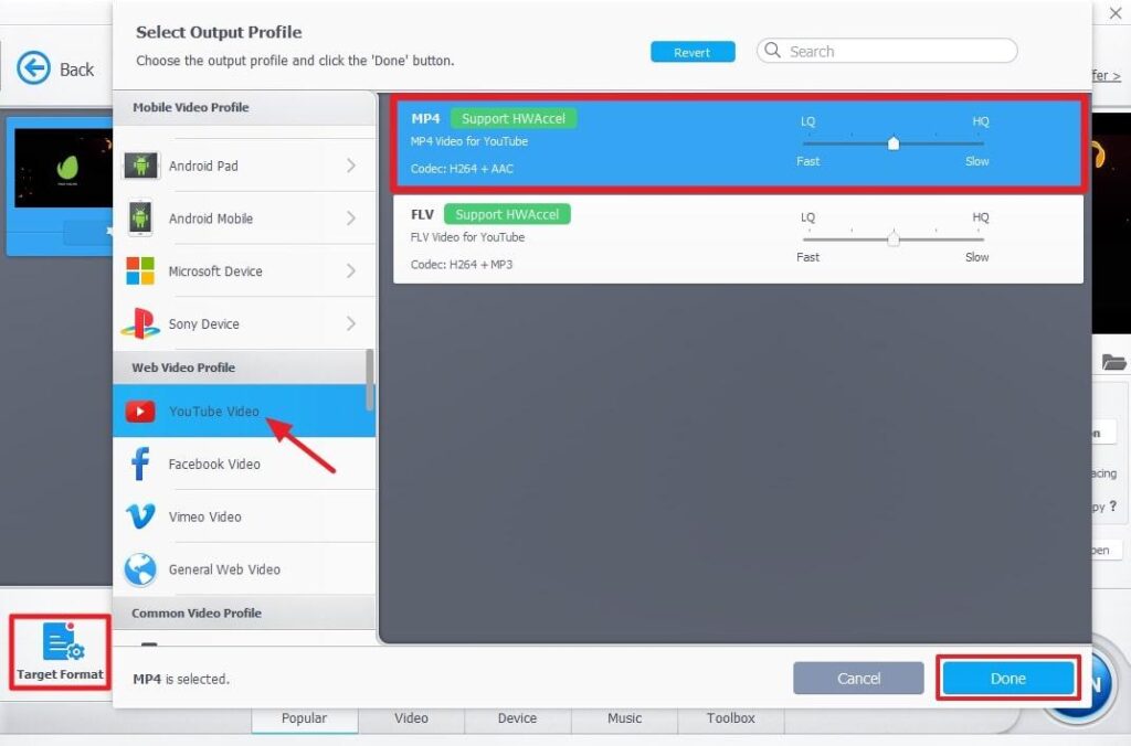 select format and output profile