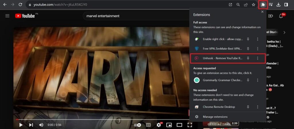 download unhook youtube extension