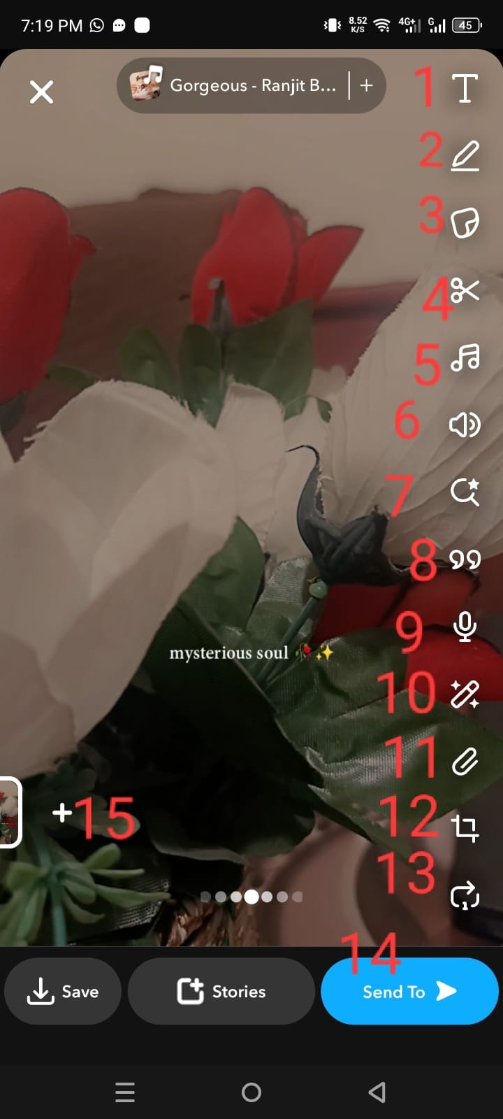 What is the Snapchat Camera Icon next to Snap? - Hollyland