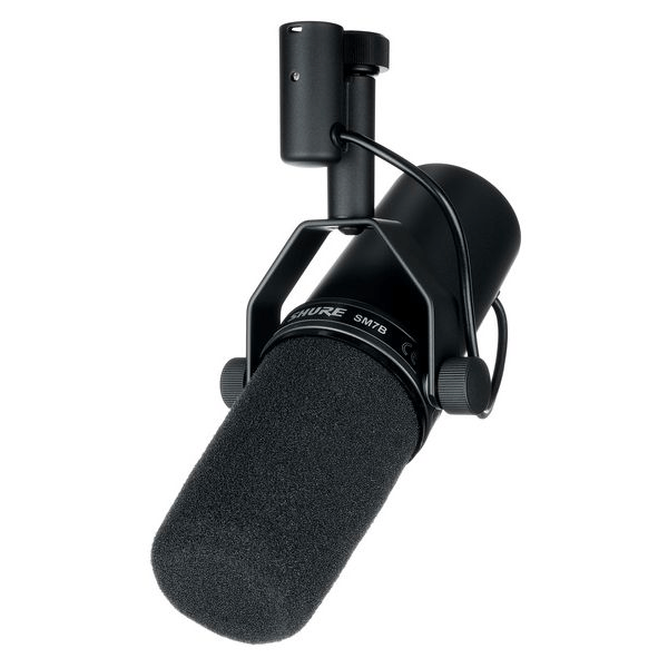 The Best Microphones for 2024