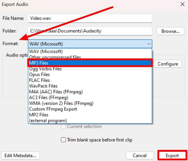 choose desired audio format before exporting 