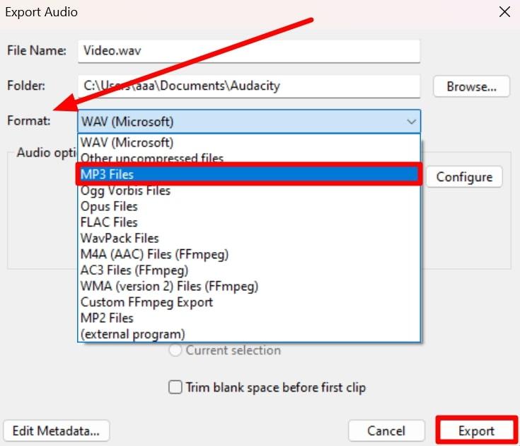 choose desired audio format before exporting