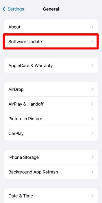 click on the software update option