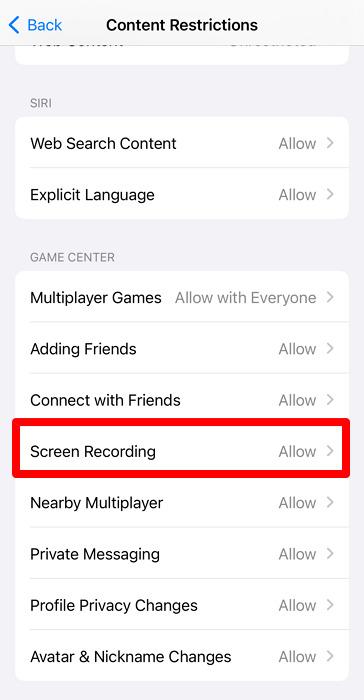 allow the screen recording feature