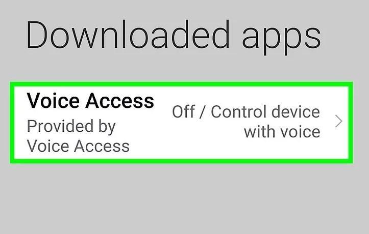 press voice access option