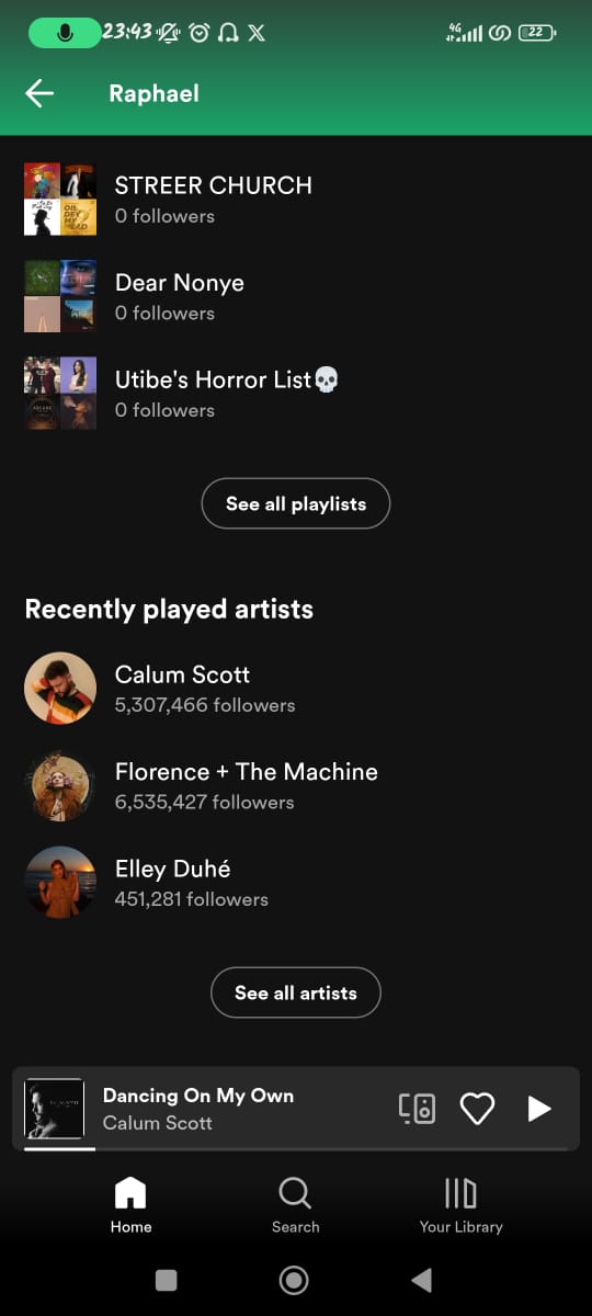 view spotify stats 03